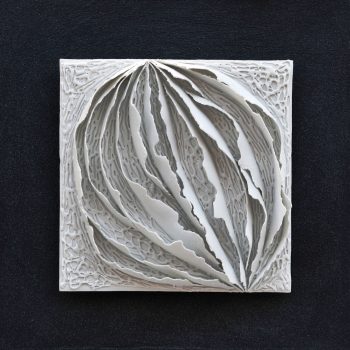 Bas relief-papier pocelaine collection écorces Noisette vue de face sur fond noir