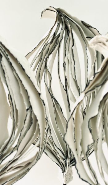Sculptures Arbre papier porcelaine avec liserés noirs compo vue de face zoom
